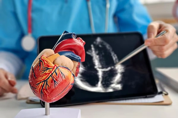 Cardiology